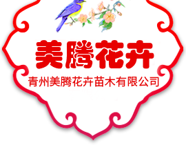 青州市蘇大食品有限公司